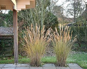 Rustige tuin met natuur rondom Ascona vakantiehuis, Nes, Ameland.