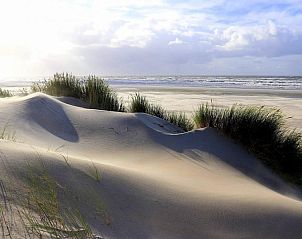 Verblijf 040503 - Vakantiewoning Ameland - Campanula