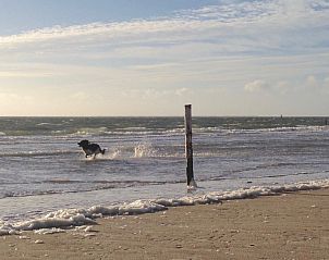 Verblijf 040503 - Vakantiewoning Ameland - Campanula