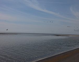 Unterkunft 040701 - Chalet Ameland - Protter