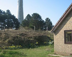 Duinlandschap rondom vakantiehuis Duinrust, Schiermonnikoog, met bloeiende bloemen.