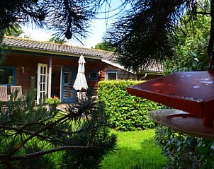 Charmante veranda van Hannekommen vakantiehuis, omgeven door natuur op Schiermonnikoog, Waddeneilanden.