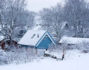 Sneeuwlandschap rond vakantiehuis Poppe in Schiermonnikoog, Waddeneilanden.