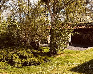 Schattiger Garten des Cottage in Schiermonnikoog, Ferienhaus auf Schiermonnikoog.