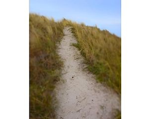 Sandweg durch die Dnen bei Ferienhaus in Schiermonnikoog, einem Ferienhaus auf den Watteninseln inmitten der Natur.