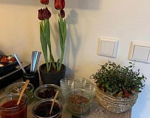 Verblijf 076219 - Bed and breakfast Walcheren - B&B Witvliet, kamers en studio met heerlijk ontbijt !