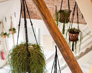 Verblijf 080806 - Vakantiewoning Fluessen - FR555