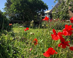 Verblijf 160307 - Vakantie appartement Terschelling - Hotel De Horper Wielen