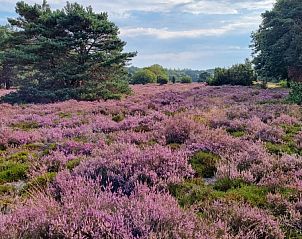 Verblijf 170104 - Vakantiewoning Midden Drenthe - De N8UIL met Finse barrelsauna