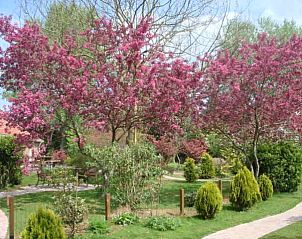 Verblijf 172201 - Vakantiewoning Midden Drenthe - Huis Iris