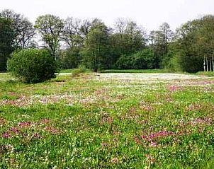 Verblijf 172301 - Vakantiewoning Midden Drenthe - 't Anderhoes