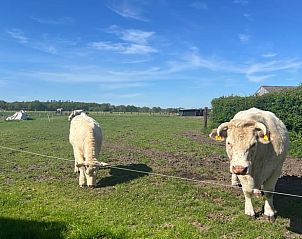 Verblijf 180402 - Vakantiewoning Noord Drenthe - Huisje in Westervelde
