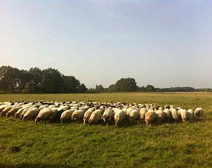 Verblijf 183222 - Vakantiewoning Noord Drenthe - DG706