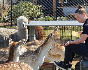 Verblijf 200103 - Vakantiewoning Zuidwest Drenthe - Huisje in Fluitenberg