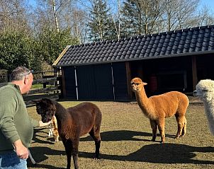 Verblijf 200103 - Vakantiewoning Zuidwest Drenthe - Huisje in Fluitenberg