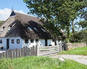 Verblijf 232401 - Vakantiewoning Friese bossen - Vakantiehuisje in Langedijke