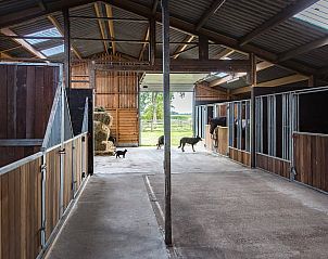 Verblijf 232401 - Vakantiewoning Friese bossen - Vakantiehuisje in Langedijke