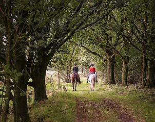 Verblijf 232401 - Vakantiewoning Friese bossen - Vakantiehuisje in Langedijke