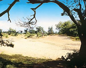 Verblijf 232401 - Vakantiewoning Friese bossen - Vakantiehuisje in Langedijke