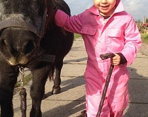 Verblijf 240122 - Bijzondere overnachtingen Het Friese platteland - Recreatiebedrijf de Blikvaart