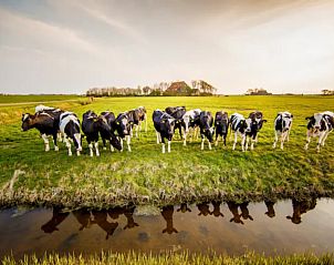 Verblijf 261401 - Vakantiewoning Het Friese platteland - Recreatieboerderij Slachtehiem