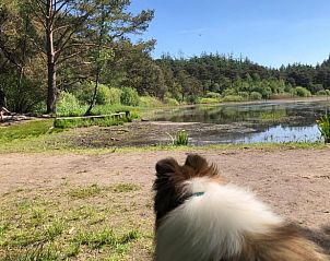 Verblijf 2618205 - Vakantiewoning Het Friese platteland - Huisje in Olterterp