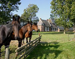 Verblijf 262601 - Bed and breakfast Het Friese platteland - Logement Doosje