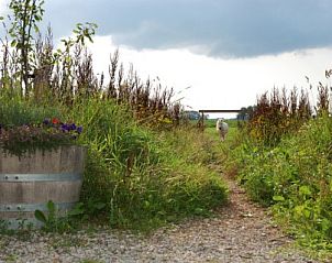 Verblijf 262601 - Bed and breakfast Het Friese platteland - Logement Doosje