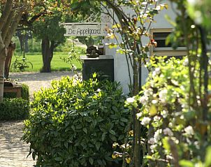 Verblijf 281202 - Bed and breakfast Rivierengebied - De Appelgaard