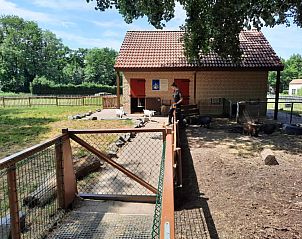 Verblijf 283304 - Vakantiewoning Rivierengebied - Vacation home with Sauna+hottub in nature