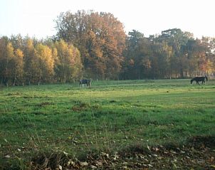 Verblijf 290126 - Vakantiewoning Achterhoek - Kom in de Bedstee Winterswijk