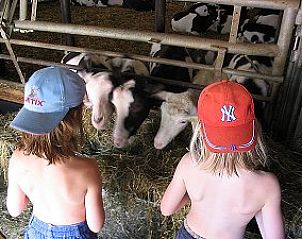 Verblijf 290129 - Vakantiewoning Achterhoek - 't Zwaontje