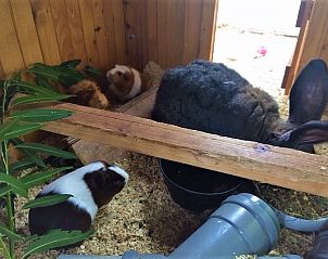 Verblijf 290701 - Vakantiewoning Achterhoek - Dwarshuus