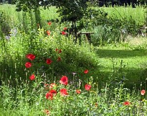 Verblijf 291706 - Vakantiewoning Achterhoek - GROEPSACCOMMODATIE