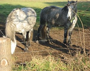 Verblijf 291707 - Bijzondere overnachtingen Achterhoek - BIJZONDERE EN UNIEKE GROEPSACCOMMODATIE IN DE ACHT