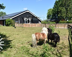 Verblijf 293552 - Vakantiewoning Achterhoek - DG127