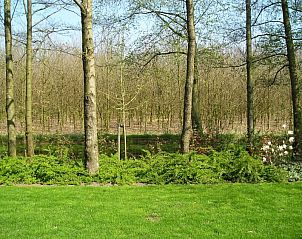 Verblijf 296021 - Vakantiewoning Achterhoek - WegInWinterswijk