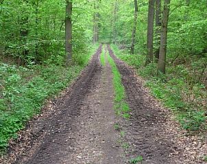 Verblijf 296021 - Vakantiewoning Achterhoek - WegInWinterswijk