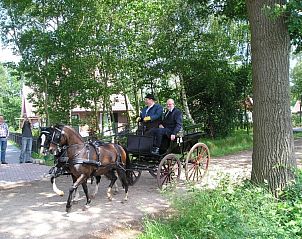Verblijf 296021 - Vakantiewoning Achterhoek - WegInWinterswijk