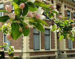 Verblijf 297403 - Vakantiewoning Achterhoek - Vakantiehuisje in Winterswijk Woold