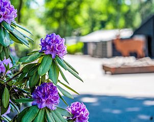 Verblijf 3211109 - Vakantiewoning Veluwe - Vakantiehuis De Bosuil