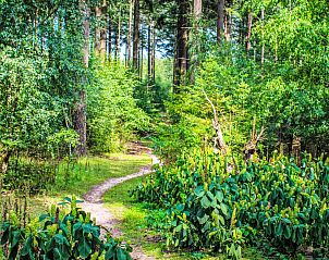 Verblijf 3211109 - Vakantiewoning Veluwe - Vakantiehuis De Bosuil