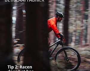 Verblijf 323503 - Vakantiewoning Veluwe - de Slaapfabriek