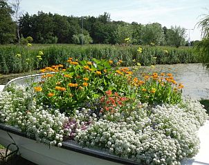 Verblijf 324502 - Vakantie appartement Noordzeekust - Hotel Den Helder