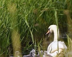 Verblijf 340205 - Vakantiewoning Noordwest Groningen - Vakantiehuis in Ezinge