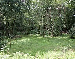 Verblijf 372302 - Vakantiewoning Midden Limburg - Vakantiehuis in Vlodrop