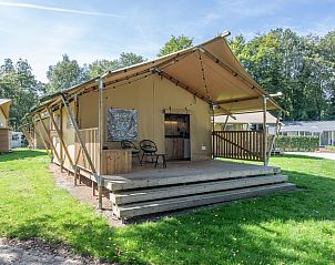 Guest house 382705 • Holiday property Noord Limburg • Safaritent 4 