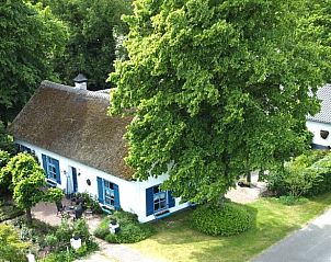 Unterkunft 384806 - Ferienhaus Noord Limburg - Huisje in Merselo