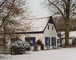 Unterkunft 384806 - Ferienhaus Noord Limburg - Huisje in Merselo