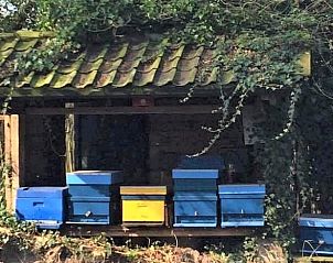 Unterkunft 384806 - Ferienhaus Noord Limburg - Huisje in Merselo